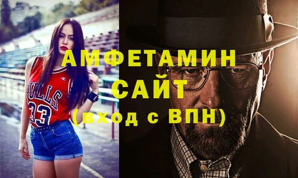 гидра Богородицк